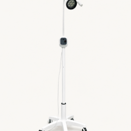 Examination Light