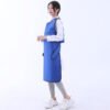 Lead Apron Lead Apron Adult