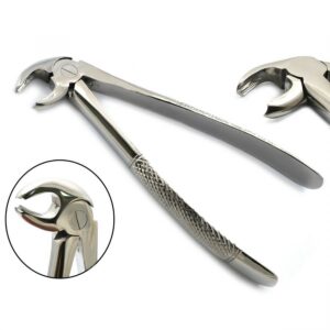 Lower Molar Forceps - Bionexmed Dental Equipment