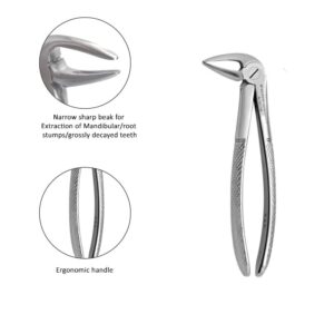 Lower Adult Root Forceps - Bionexmed Dental Equipment