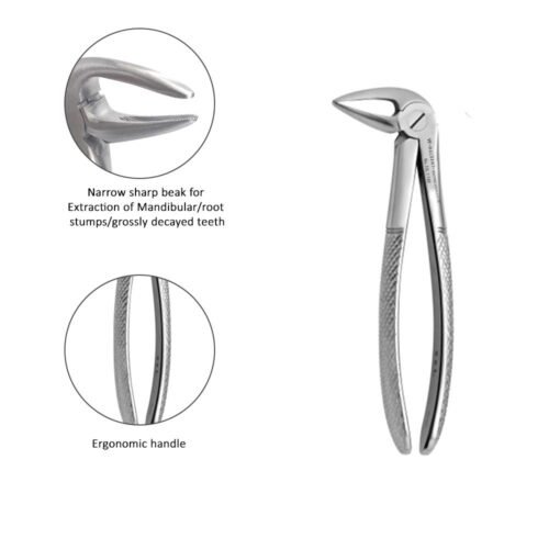 Lower Adult Root Forceps - Bionexmed Dental Equipment