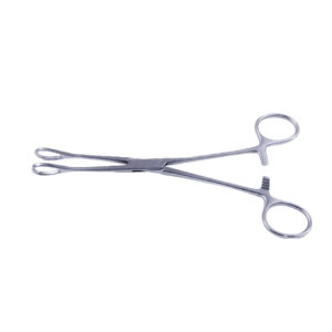 Sponge Holding Forceps