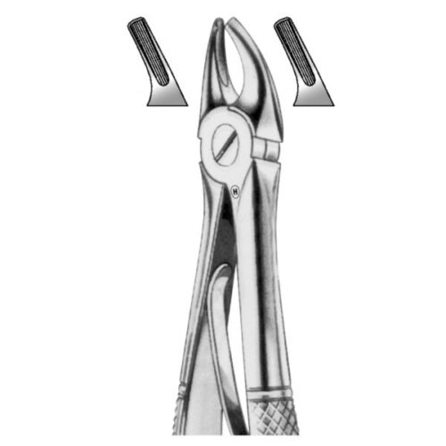 Upper-Central- Canines-Forceps Upper-Central- Canines-Forceps