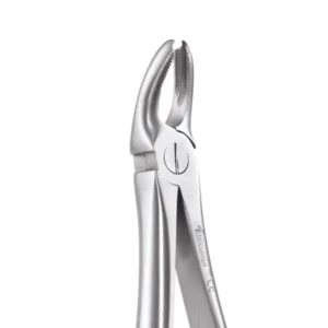 Upper Molar Forceps both