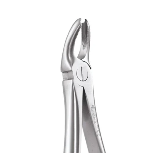 Upper Molar Forceps both