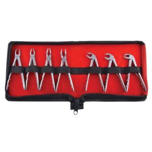 Bionexmed Pedo Extraction Forcep Set - Dental Tools