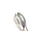 Lane tissue forcep