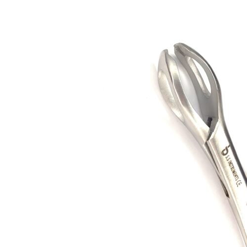 Lane tissue forcep