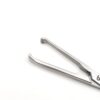 Allis Forcep