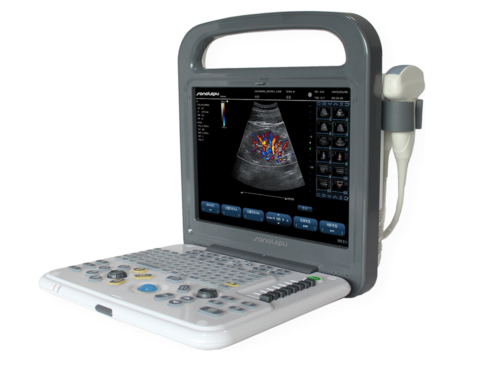C3 Veterinary Ultrasound