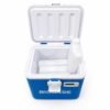 BIOBASE 5L Vaccine Carrier q BIOBASE 5L Vaccine Carrier 1